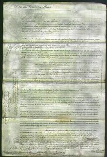 Court of Common Pleas - Elizabeth Middleton Lane-Original Ancestry