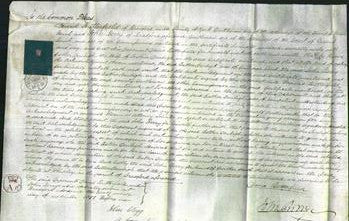 Court of Common Pleas - Esther Denbigh-Original Ancestry