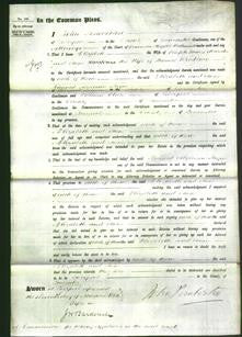 Court of Common Pleas - Elizabeth Marsden and Anne Woodburn-Original Ancestry