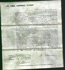 Court of Common Pleas - Elizabeth Clark-Original Ancestry