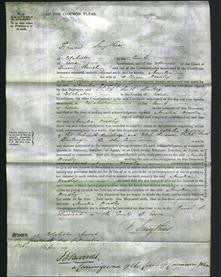 Court of Common Pleas - Amelia Woodley-Original Ancestry