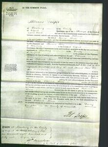 Court of Common Pleas - Patience Beere-Original Ancestry