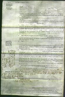 Court of Common Pleas - Mary Isabel Land Viscountess Downe-Original Ancestry