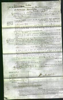 Court of Common Pleas - Annie Newton-Original Ancestry