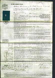 Court of Common Pleas - Millicent Gisborne-Original Ancestry