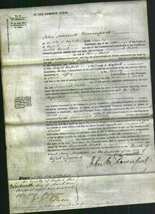 Court of Common Pleas - Susannah Walsh-Original Ancestry