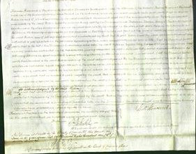 Court of Common Pleas - Helen Chapman-Original Ancestry