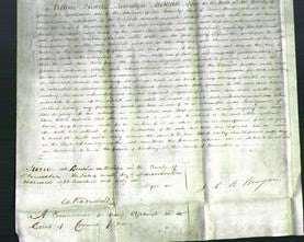 Court of Common Pleas - Ann Wells-Original Ancestry