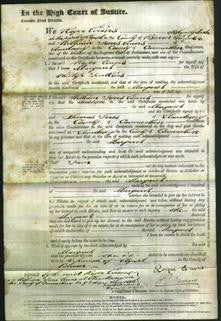 Court of Common Pleas - Margaret Jenkins-Original Ancestry