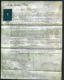 Court of Common Pleas - Sarah Jones-Original Ancestry