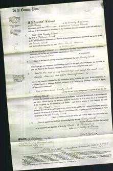 Court of Common Pleas - Emily Buck-Original Ancestry