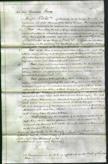 Court of Common Pleas - Mary Mallen-Original Ancestry