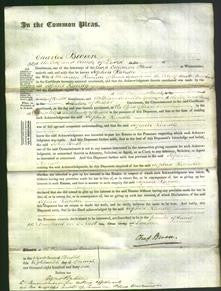 Court of Common Pleas - Sophia Randle-Original Ancestry