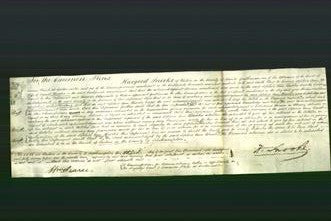 Court of Common Pleas - Sophia Ann Brooks-Original Ancestry