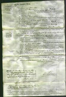 Court of Common Pleas - Ann Forington-Original Ancestry