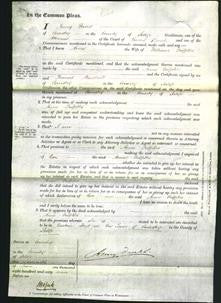 Court of Common Pleas - Anne Griffiths-Original Ancestry