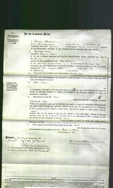 Court of Common Pleas - Ann May-Original Ancestry