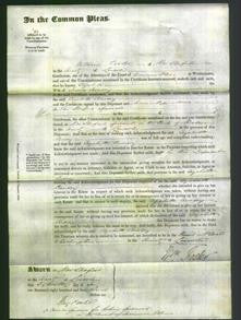 Court of Common Pleas - Elizabeth Creasey-Original Ancestry