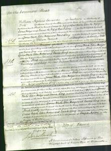 Court of Common Pleas - Dorcas Blake, Ellen Hedges, Emma Long-Original Ancestry