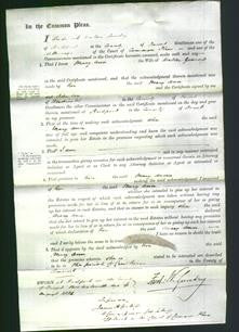 Court of Common Pleas - Mary Ann Goaring-Original Ancestry