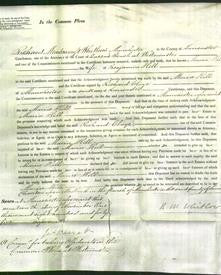 Court of Common Pleas - Maria Hill-Original Ancestry