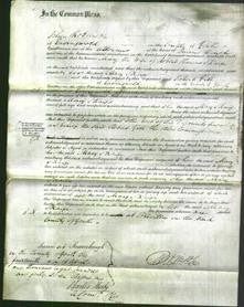 Court of Common Pleas - Mary Sharpe-Original Ancestry