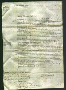 Court of Common Pleas - Jane Tomlinson-Original Ancestry