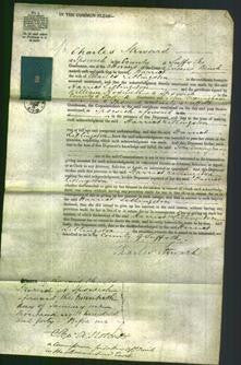 Court of Common Pleas - Harriot Lillingston-Original Ancestry