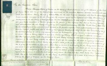 Court of Common Pleas - Fanny Willis-Original Ancestry