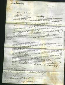Court of Common Pleas - Harriet Porter Telford-Original Ancestry