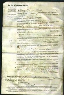 Court of Common Pleas - Elizabeth Musson Stower-Original Ancestry