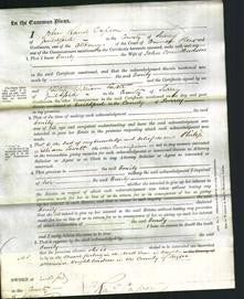 Court of Common Pleas - Emily Hudson-Original Ancestry