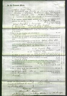 Court of Common Pleas - Augusta Patey-Original Ancestry