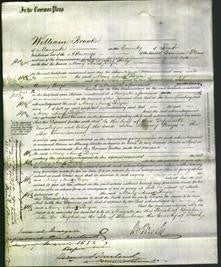 Court of Common Pleas - Mary Ann Royce-Original Ancestry