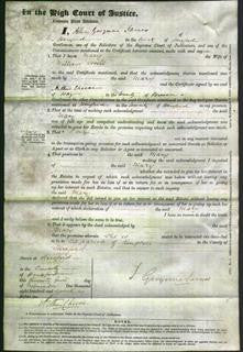 Court of Common Pleas - Mary Hoile-Original Ancestry