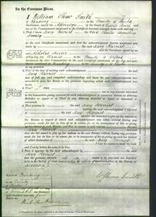 Court of Common Pleas - Mary Harriet Towsey-Original Ancestry