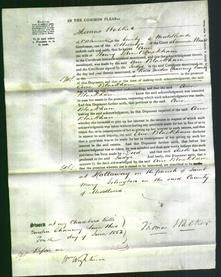 Court of Common Pleas - Ann Blackham-Original Ancestry
