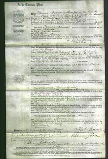 Court of Common Pleas - Marcia Groves and Elizabeth Bovay-Original Ancestry