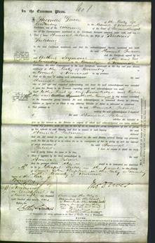 Court of Common Pleas - Hannah Palmer Fielding-Original Ancestry