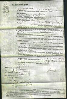 Court of Common Pleas - Mary Anne Bentley-Original Ancestry