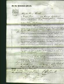 Court of Common Pleas - Julia Chalmers-Original Ancestry