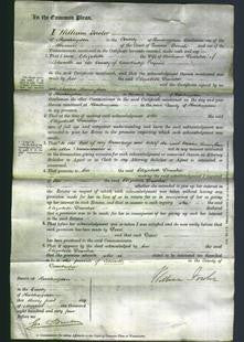 Court of Common Pleas - Elizabeth Daintree-Original Ancestry