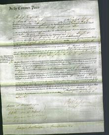 Court of Common Pleas - Maria Shaw-Original Ancestry