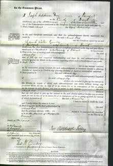 Court of Common Pleas - Sarah Cox-Original Ancestry