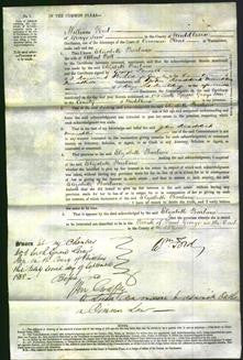 Court of Common Pleas - Elizabeth Barbara Pell-Original Ancestry