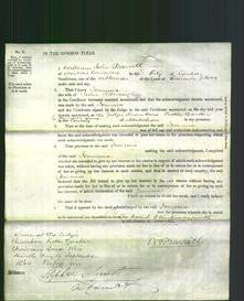 Court of Common Pleas - Jemima Dorrington-Original Ancestry