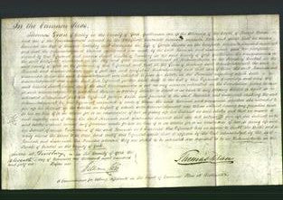 Court of Common Pleas - Hannah Halliday and Susannah Rhodes-Original Ancestry