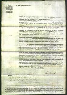 Court of Common Pleas - Laetitia Hollier-Original Ancestry
