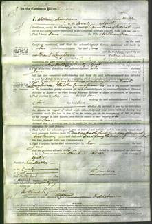 Court of Common Pleas - Jane Roe-Original Ancestry
