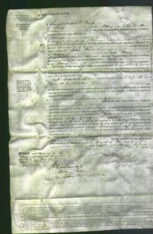 Court of Common Pleas - Susanna Emila Gennys-Original Ancestry